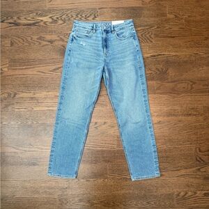 American Eagle Stretch Mom Jeans NWT